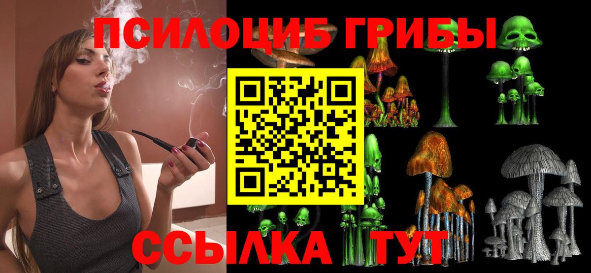 Ногинск  Галлюциногенные грибы мицелий  Вход с VPN 